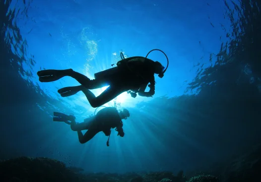 scuba men taking a dive | Stonefish Investments, LLC | Commercial Real Estate In New Hampshire